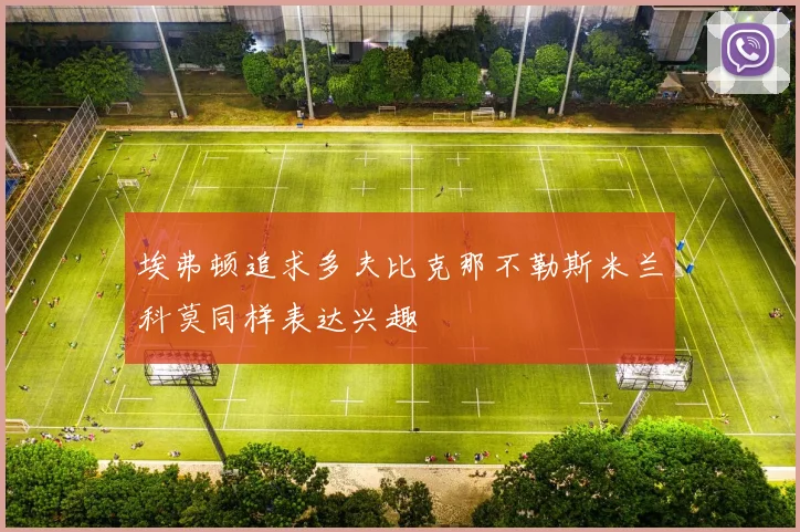 埃弗顿追求多夫比克那不勒斯米兰科莫同样表达兴趣