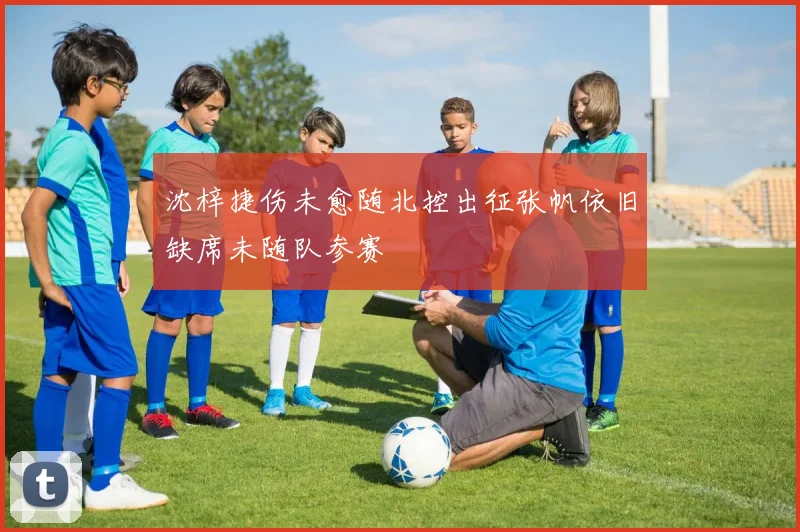 沈梓捷伤未愈随北控出征张帆依旧缺席未随队参赛